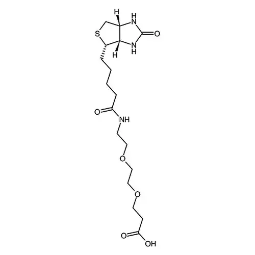 Biotin-PEG2-Acid