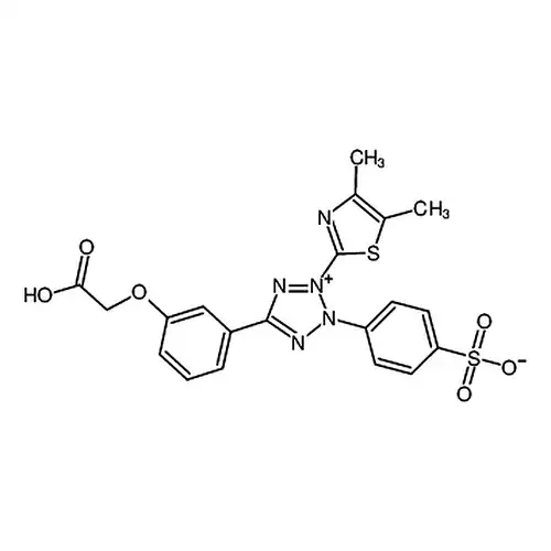 MTS试剂， cell proliferation assay reagent