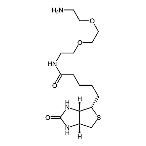 (+)-Biotin-PEG2-amine