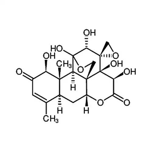 Pasakbumin B
