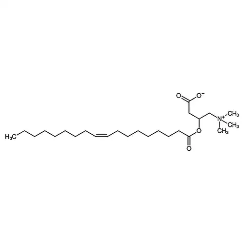 oleoyl L-carnitine