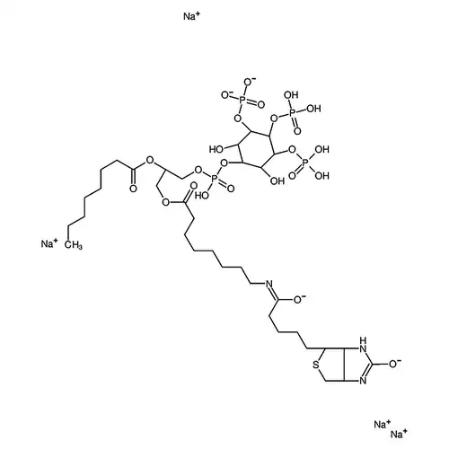 PtdIns-(3，4，5)-P3-biotin sodium salt