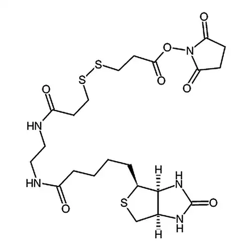 3-[3-[2-(生物素酰胺)乙基]氨基-3-氧代丙基]二硫基]丙酸琥珀酰亚胺酯