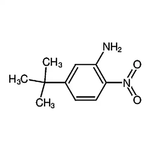 5-(叔丁基)-2-硝基苯胺