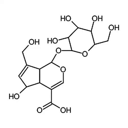 去乙酰基车叶草苷酸