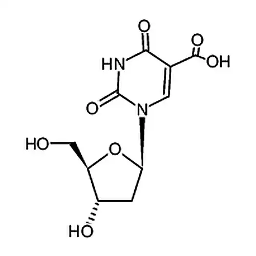 5-羧基-2'-脱氧尿苷