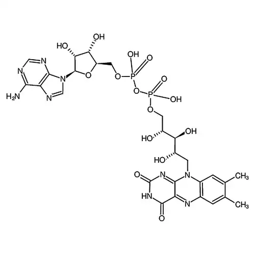 腺嘌呤黄素二核苷酸