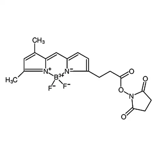 BDP FL NHS 酯,光稳定的绿色荧光染料