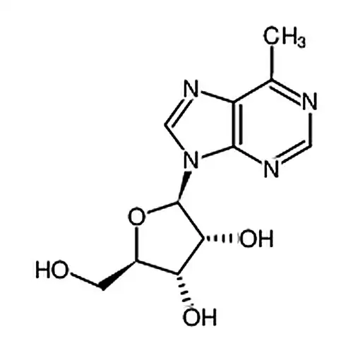6-Methylpurine riboside