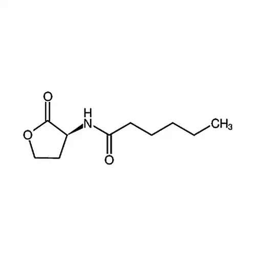 N-己酰基-L-高丝氨酸内酯