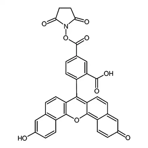 5(6)-羧萘基荧光素-N-羟基琥珀酰亚胺酯
