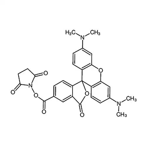 5(6)-羧基四甲基罗丹明琥珀酰亚胺酯