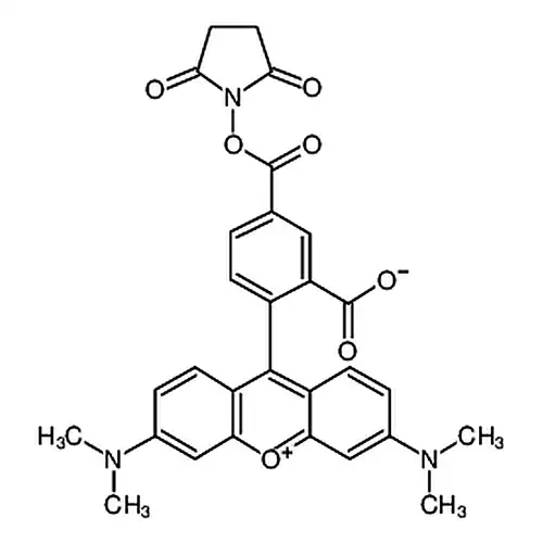 5-羧基四甲基罗丹明琥珀酰亚胺酯