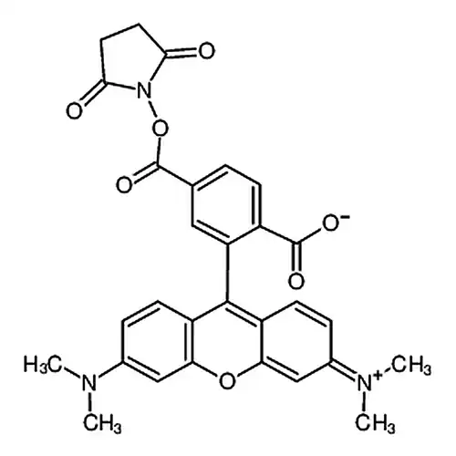 6-羧基四甲基罗丹明琥珀酰亚胺酯