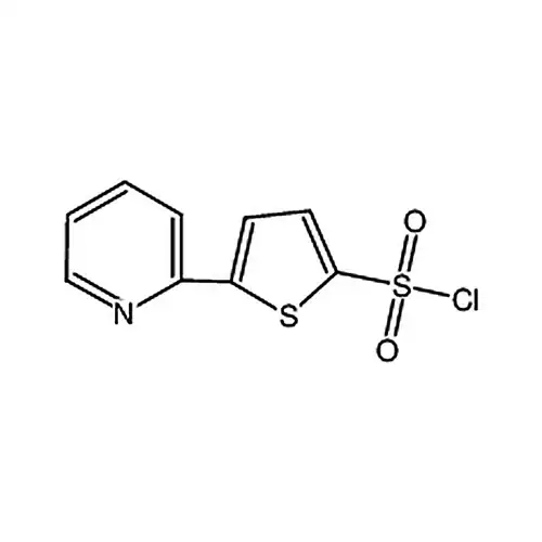 5-(2-吡啶)噻酚-2-磺酰氯