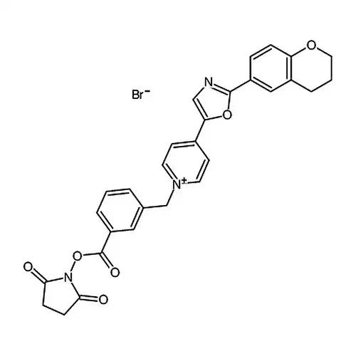 N-(3-Succinimidyloxy-carbonyl-phenyl)-methyl-4-(2-(6-(3,4-dihydro-2H-1-benzopyranyl))-5-oxazolyl)-pyridinium bromide