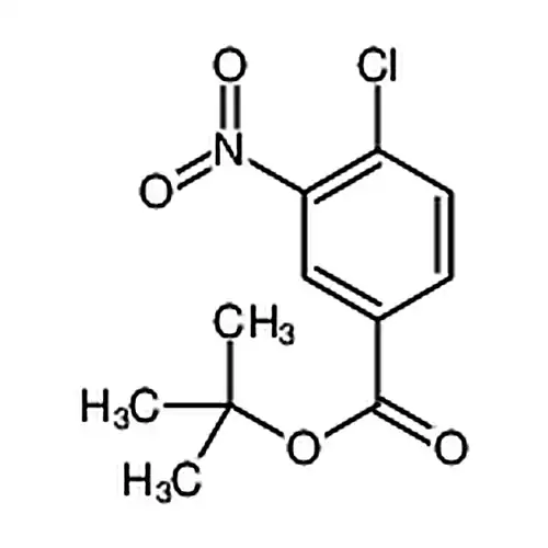 4-氯-3-硝基苯甲酸叔丁酯