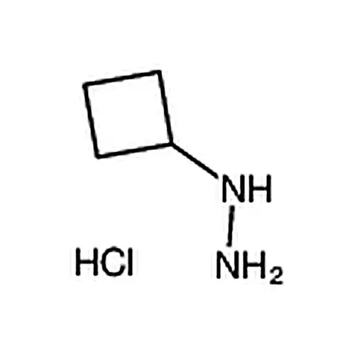 1-环丁基肼盐酸盐