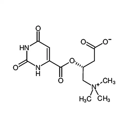左旋肉碱乳清酸盐