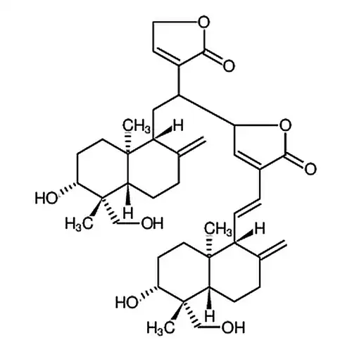 双穿心莲内酯A