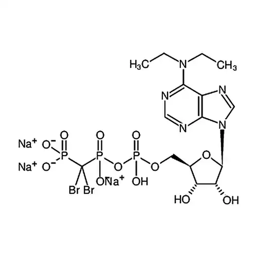 6-N，N-二乙基-Β-Γ-二溴亚甲基-D-腺苷E-5'-三磷酸钠水合物