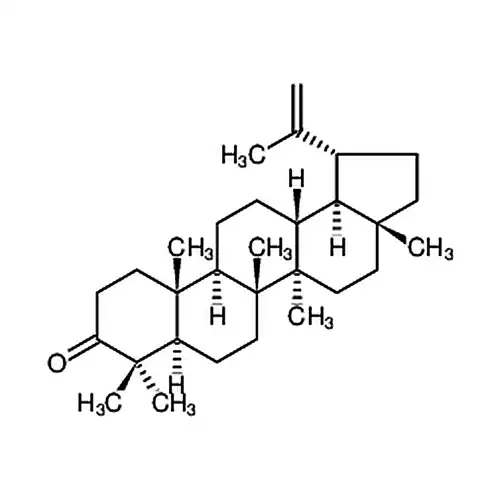羽扇烯酮