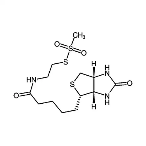 N-Biotinylaminoethyl Methanethiosulfonate