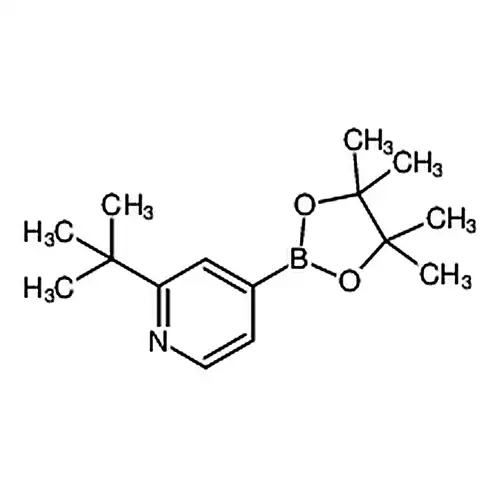 2-叔丁基-4-吡啶硼酸频那醇酯