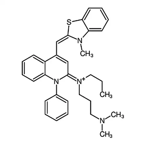 SYBR Green I凝胶染色溶液