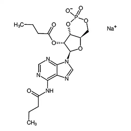 N6,2''-O-二丁酰基腺苷3'',5''-环磷酸 钠盐