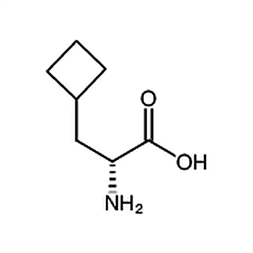 D-环丁基丙氨酸