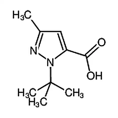 1-叔丁基-3-甲基-1H-吡唑-5-羧酸