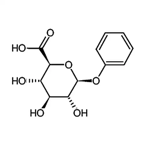 苯基-Β-D-葡糖苷酸