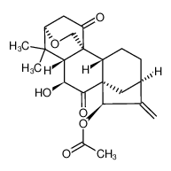 毛萼结晶甲