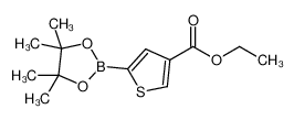 5-(4,4,5,5-四甲基-1,3,2-二氧杂硼杂环戊烷-2-基)噻吩-3-羧酸乙酯