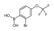 (2-溴-4-(三氟甲氧基)苯基)硼酸