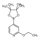 2-乙氧基-4-(4,4,5,5-四甲基-1,3,2-二氧硼杂环戊烷-2-基)吡啶