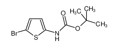 (5-溴噻吩-2-基)氨基甲酸叔丁酯