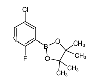 5-氯-2-氟-3-(4,4,5,5-四甲基-1,3,2-二氧硼杂环戊烷-2-基)吡啶