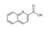 喹哪啶酸