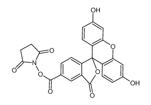 5-羧基荧光素琥珀酰亚胺酯