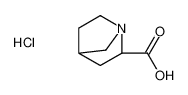 (1R，2R，4R)-REL-1-氮杂双环[2，2，1]庚烷-2-羧酸盐酸盐