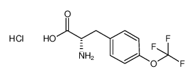 (S)-2-氨基-3-(4-(三氟甲氧基)苯基)丙酸盐酸盐