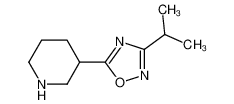 3-(3-异丙基-1，2，4-二唑-5-基)哌啶