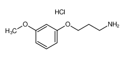 3-(3-甲氧基苯氧基)丙-1-胺盐酸盐