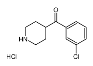4-(3-氯苯甲酰)哌啶盐酸盐