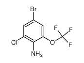 4-溴-2-氯-6-(三氟甲氧基)苯胺