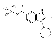 2-溴-3-环己基-1H-吲哚-6-甲酸叔丁酯