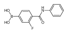 N-苯基4-硼基-2-氟苯甲酰胺