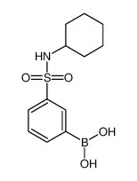 3-(环己基磺酰胺基)苯硼酸